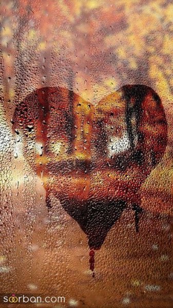  30 عکس پاییز بارانی