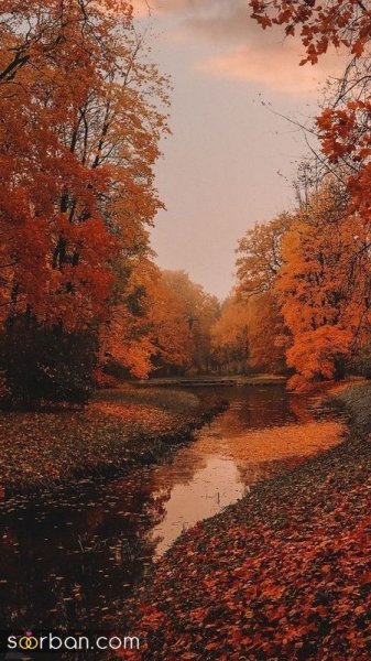  30 عکس پاییز بارانی