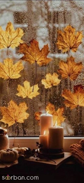  30 عکس پاییز بارانی