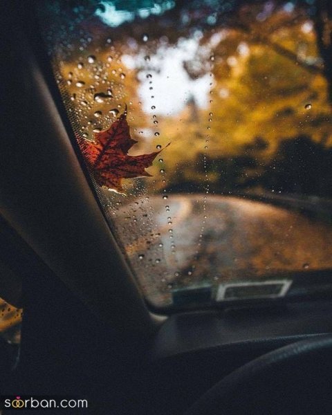  30 عکس پاییز بارانی