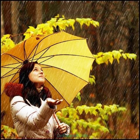  180 عکس پاییز بارانی دخترانه