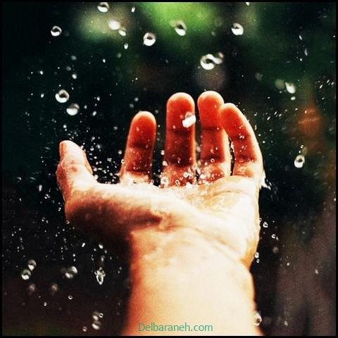  180 عکس پاییز بارانی دخترانه