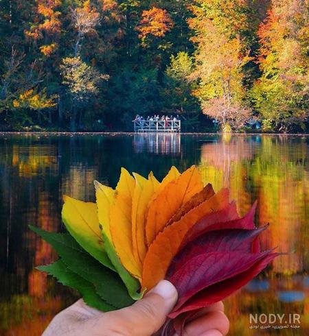 عکس از طبیعت پاییزی ایران