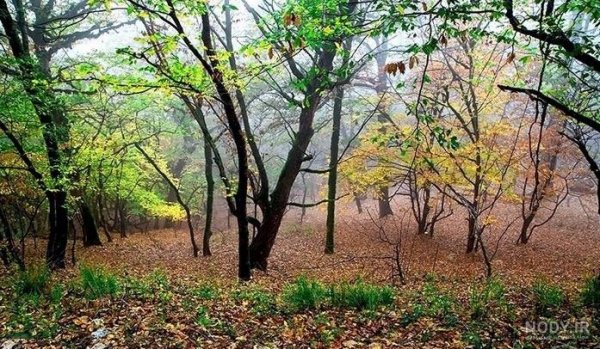  عکس از طبیعت پاییزی ایران