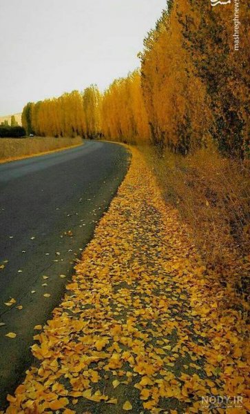  عکس از طبیعت پاییزی ایران