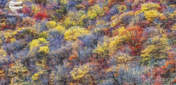  عکس از طبیعت پاییزی ایران