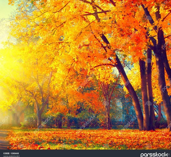  عکس از طبیعت پاییزی ایران