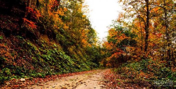  عکس از طبیعت پاییزی ایران