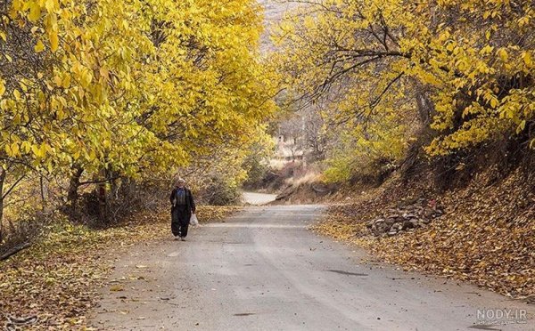  عکس از طبیعت پاییزی ایران