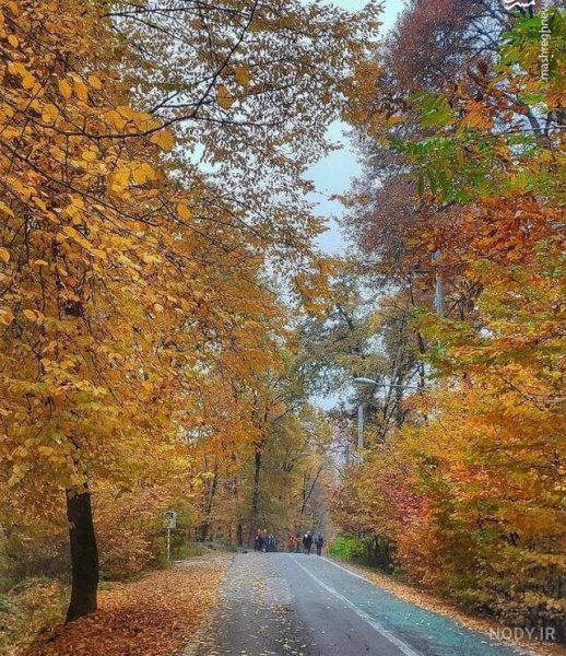  عکس از طبیعت پاییزی ایران