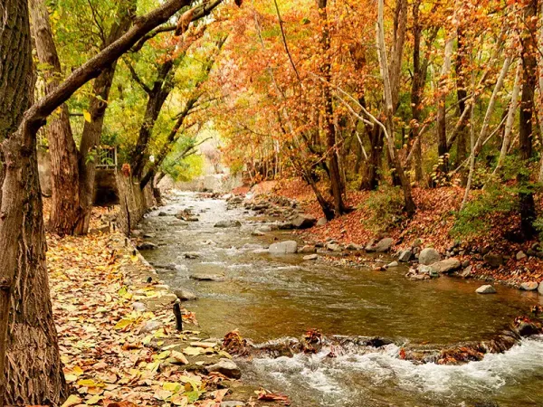  عکس از طبیعت پاییزی ایران