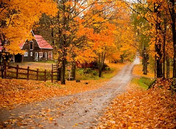  عکس از طبیعت پاییزی ایران