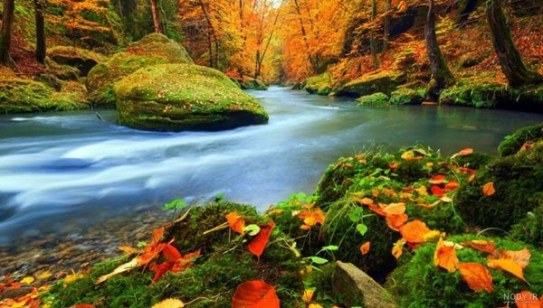 عکس طبیعت پاییزی با کیفیت بالا