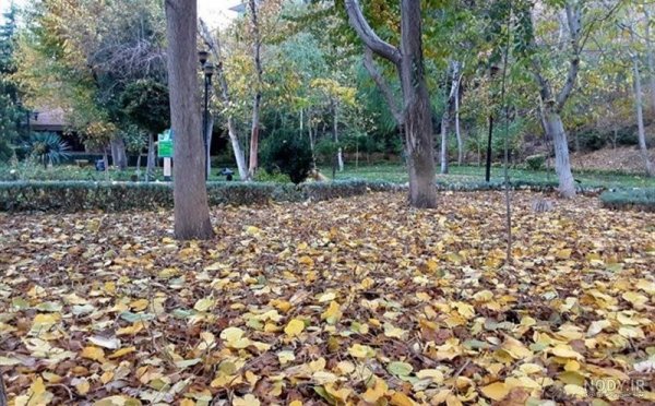  عکس طبیعت پاییزی با کیفیت بالا