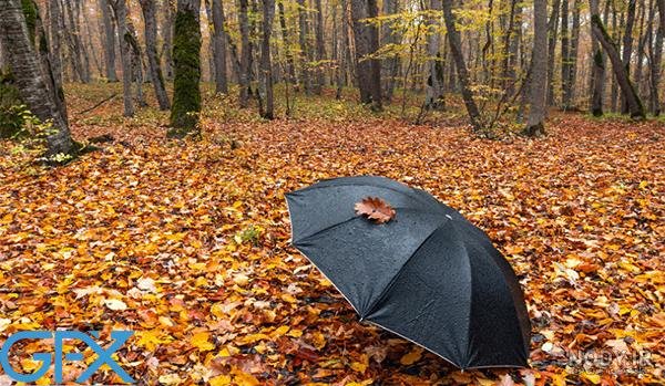  عکس طبیعت پاییزی با کیفیت بالا