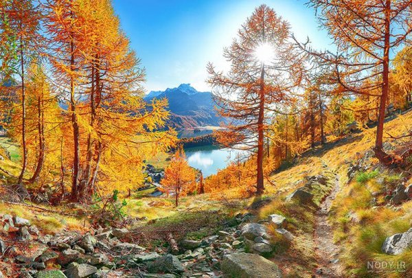  عکس طبیعت پاییزی با کیفیت بالا