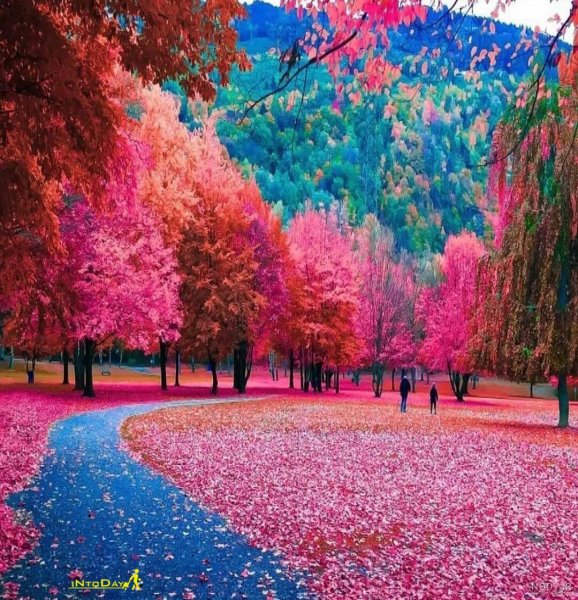  عکس طبیعت پاییزی با کیفیت بالا