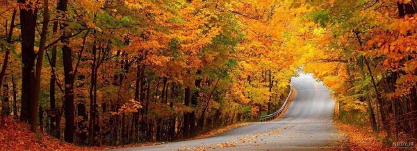  عکس طبیعت پاییزی با کیفیت بالا