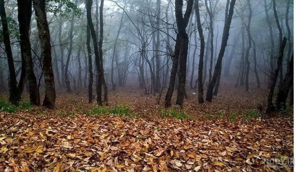  عکس طبیعت پاییزی با کیفیت بالا