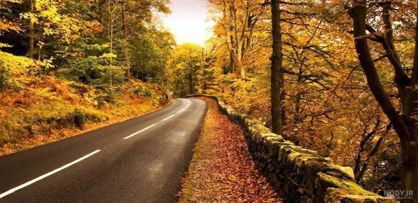  عکس طبیعت پاییزی با کیفیت بالا