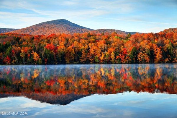  139 عکس برگ پاییزی با کیفیت بالا