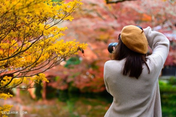  139 عکس برگ پاییزی با کیفیت بالا