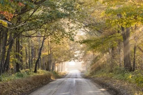  عکس جاده پاییز