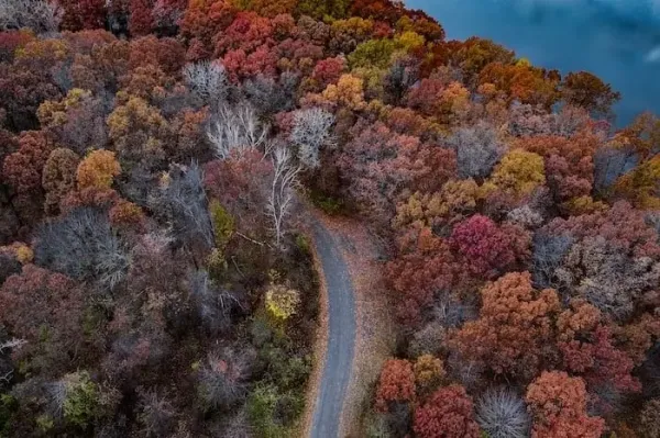  عکس جاده پاییز