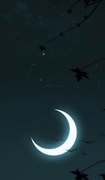  عکس واقعی ماه و خورشید