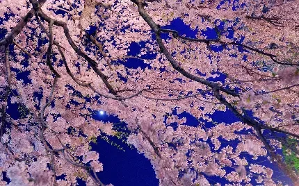  100 عکس ماه عاشقانه