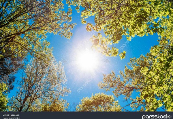  عکس طلوع خورشید در بهار