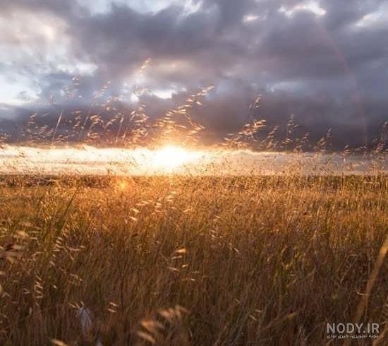  عکس طلوع خورشید در بهار