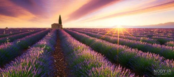  عکس طلوع خورشید در بهار