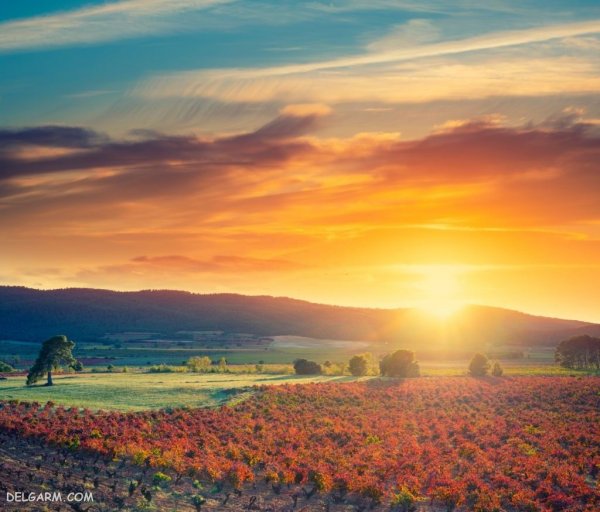  99 عکس غروب خورشید با کیفیت بالا