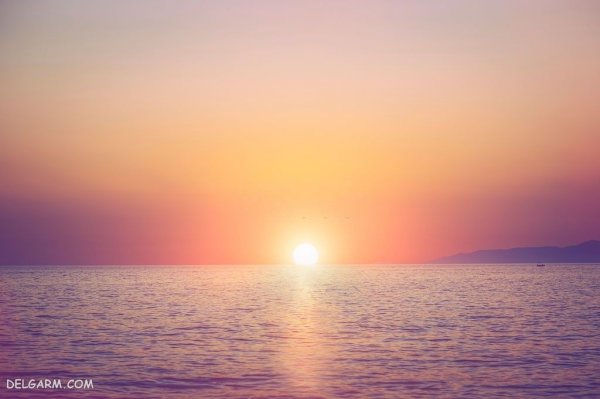  99 عکس غروب خورشید با کیفیت بالا