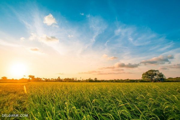  عکس غروب خورشید طبیعی