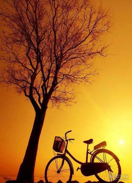  عکس غروب تنهایی