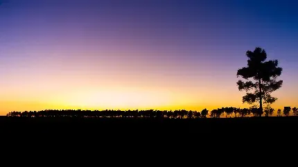  عکس غروب خورشید با کیفیت بالا