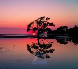  عکس غروب خورشید با کیفیت بالا