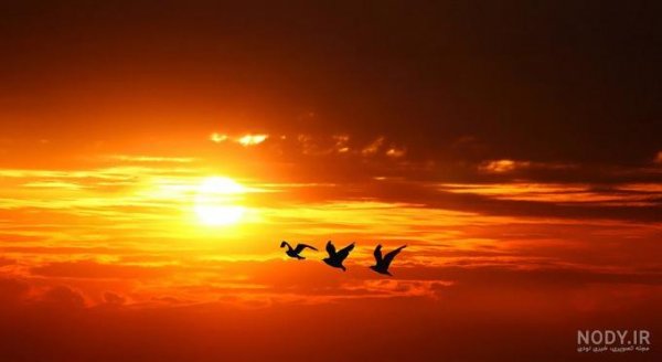  عکس غروب دریا غمگین