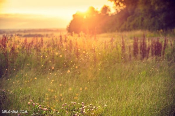  عکس غروب آفتاب برای پروفایل