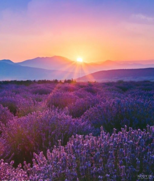  عکس غروب غم انگیز