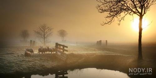  عکس غروب غم انگیز