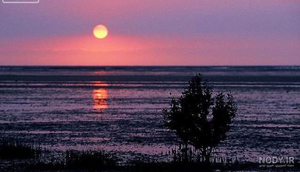  عکس غروب عاشقانه