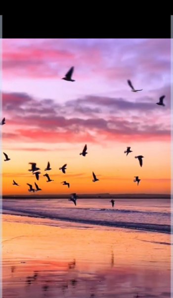  عکس غروب پاییز برای پروفایل