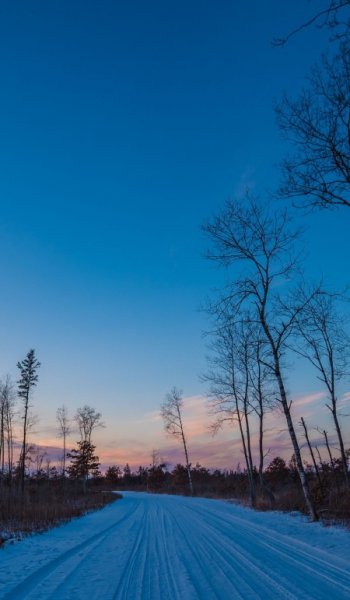  عکس غروب پاییز برای پروفایل