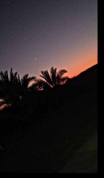  عکس غروب پاییز برای پروفایل