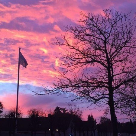  عکس غروب پاییز برای پروفایل