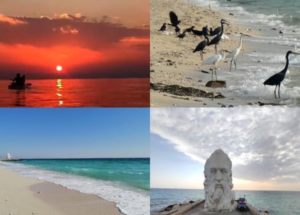  عکس طلوع افتاب کیش