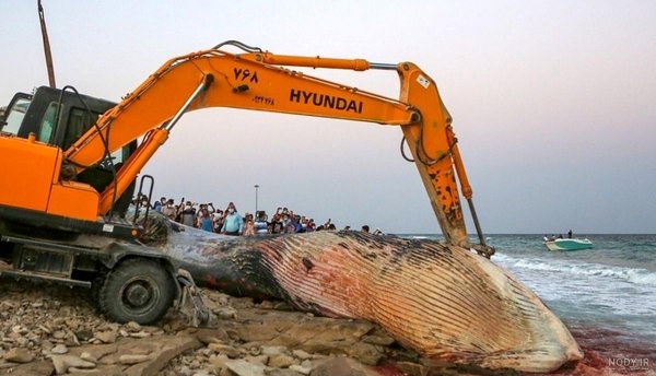  عکس جزیره کیش از بالا